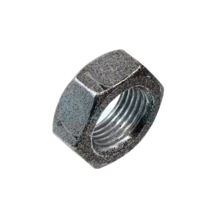 Ecrou pour moteur Briggs & Stratton (690662)