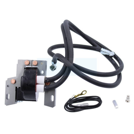 Bobine d'allumage électronique pour moteur Briggs & Stratton (394891)