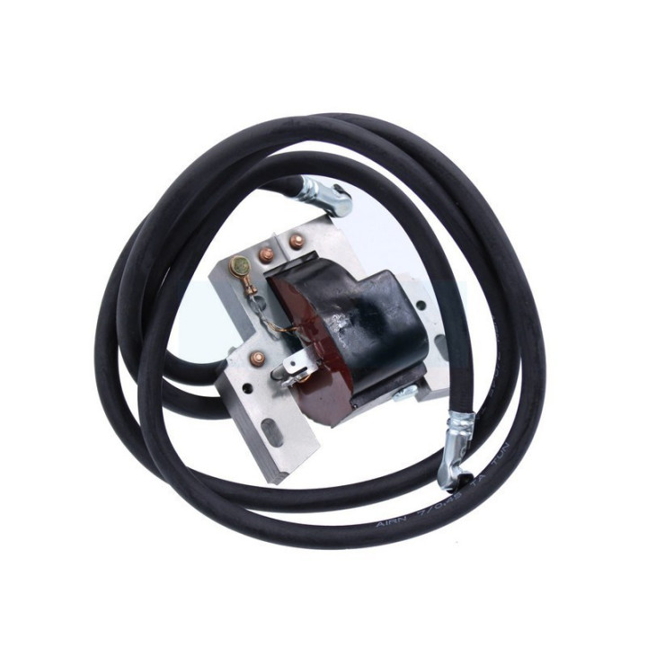 Bobine d'allumage électronique pour moteur Briggs & Stratton (394891)