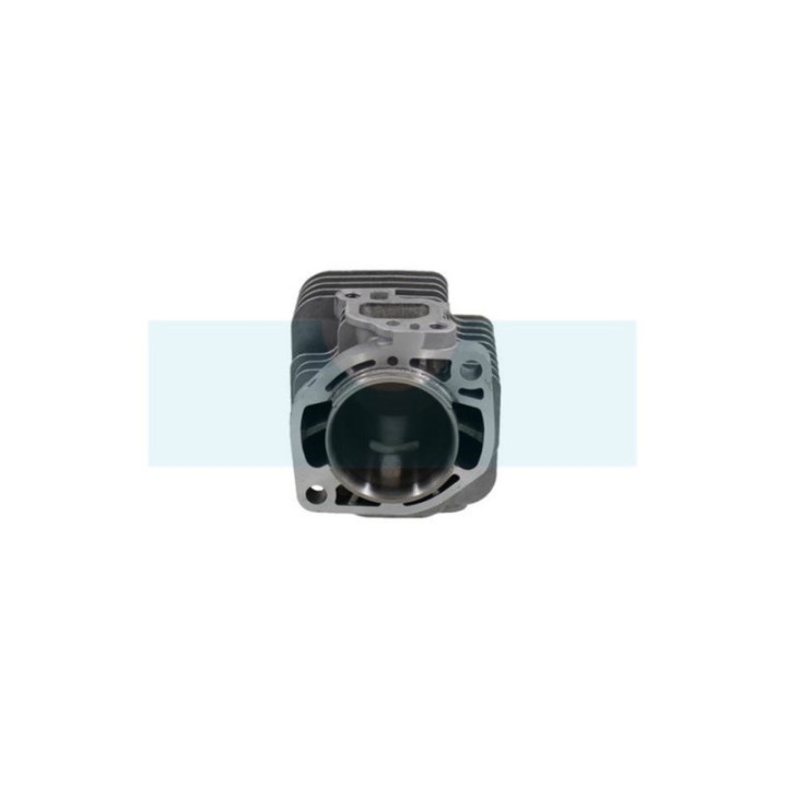 Cylindre pour taille-haie Echo (A130001960)