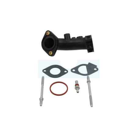 Collecteur d'admission pour moteur Briggs & Stratton (796180)