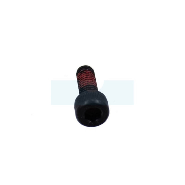 Vis de cliquet de lanceur pour tronçonneuse Echo (V203000090)