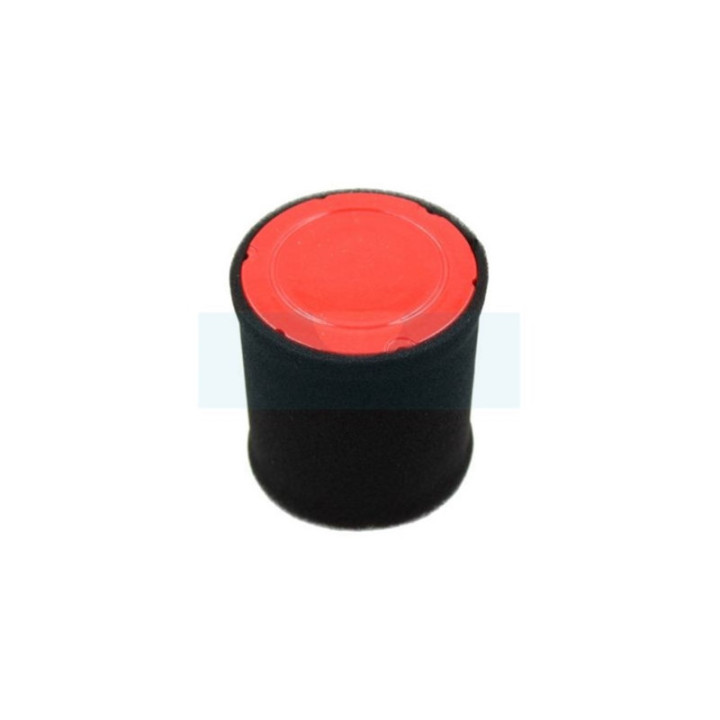 Filtre à air pour moteur MTD (737-05066)