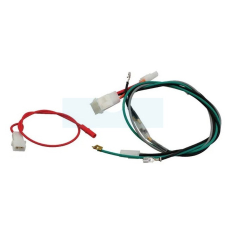 Faisceau électrique pour moteur Briggs & Stratton (698330)