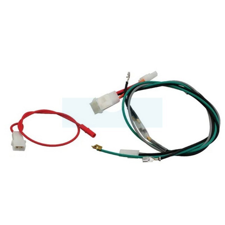 Faisceau électrique pour moteur Briggs & Stratton (698330)