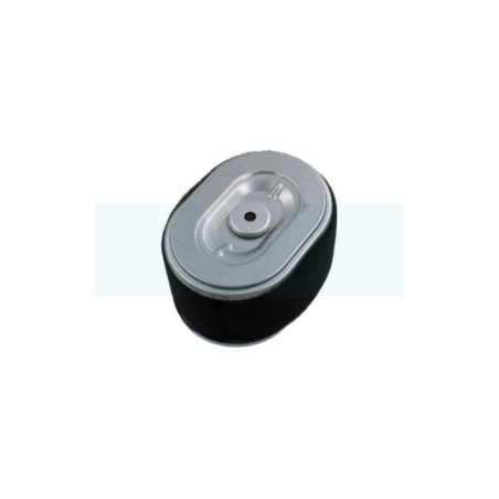 Filtre à air pour moteur Loncin (180100062-0001)