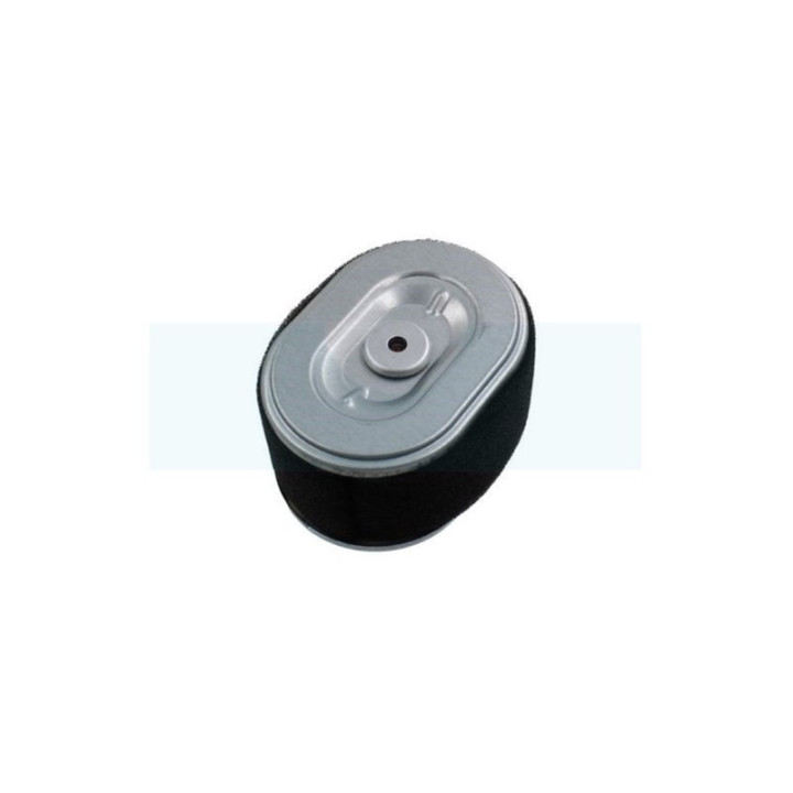 Filtre à air pour moteur Loncin (180100062-0001)
