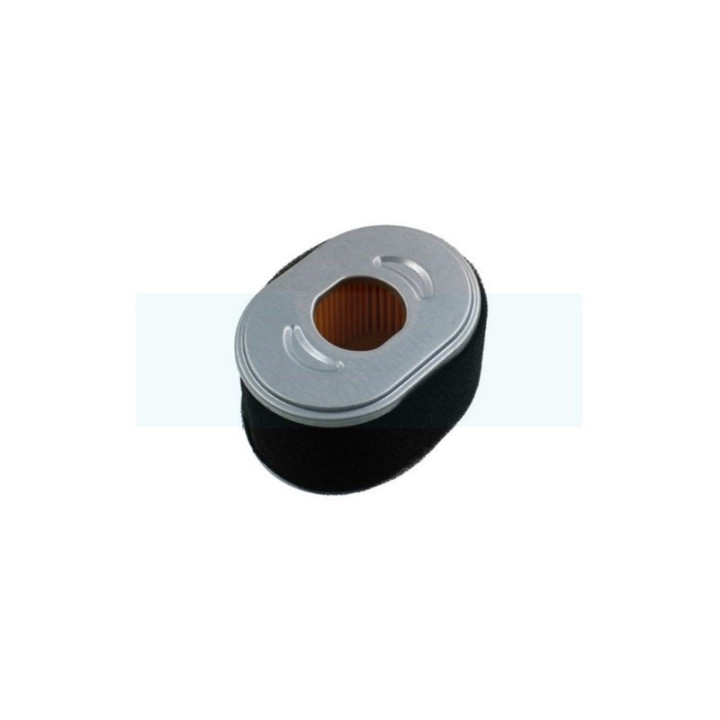 Filtre à air pour moteur Loncin (180100062-0001)
