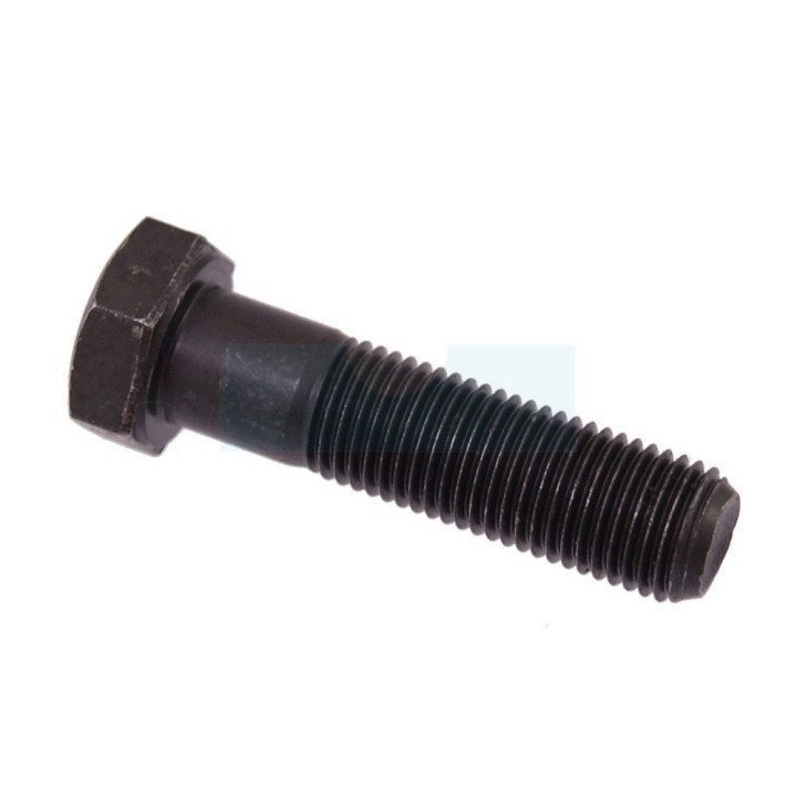 Vis de lame pour tondeuse AYP (532181712)