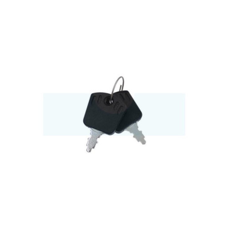 Kit de 2 clés de contact pour tracteur tondeuse Bestgreen (1136-2028-01)