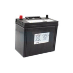 Batterie pour tracteur tondeuse 12V 45Ah GEL (NS60R)