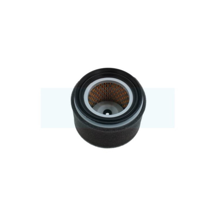 Filtre à air Hifi filter pour moteur Lombardini (2175254)