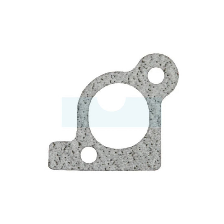 Joint d'admission pour moteur Briggs & Stratton (806418)