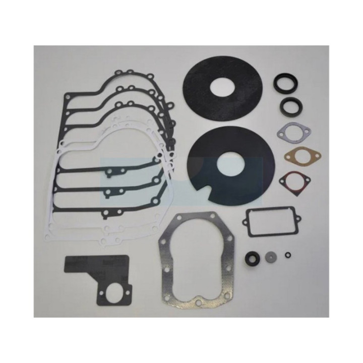 Pochette de joint pour moteur Briggs & Stratton (492653)