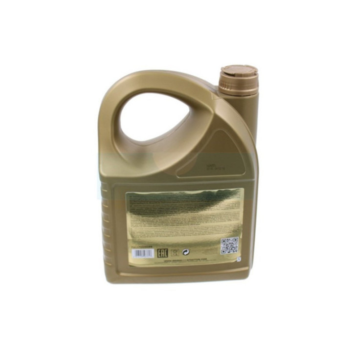Huile 4 temps Briggs & Stratton 5 Litres (100009S)