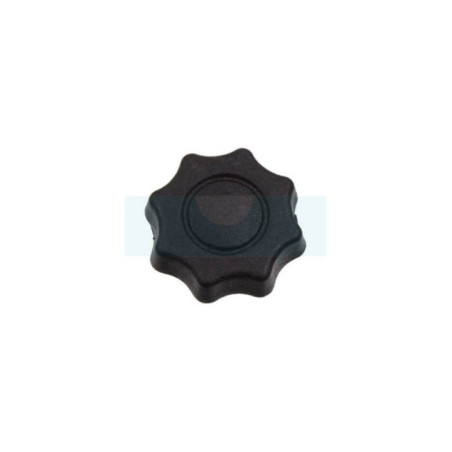 Écrou de couvercle de filtre à air pour moteur Stiga (118550201/0)