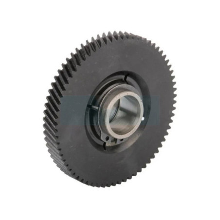 Pignon de transmission pour taille-haie Wolf (69562)
