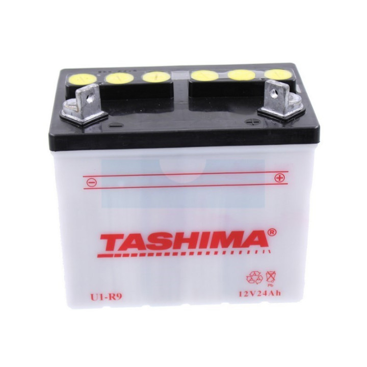 Batterie tracteur tondeuse 12V 24Ah (U1R9)