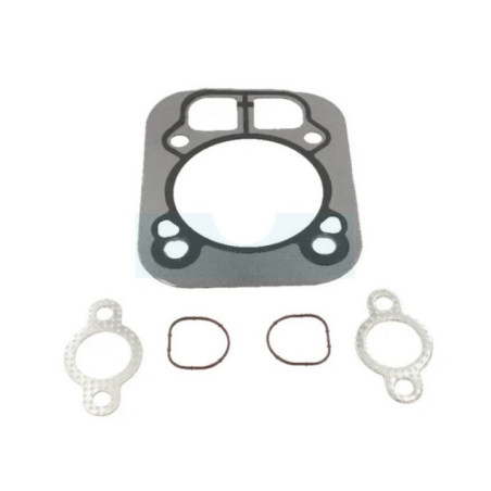 Joint de culasse pour moteur Kohler (3284102S)