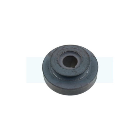 Poulie pour tondeuse Honda (75160VE0800)