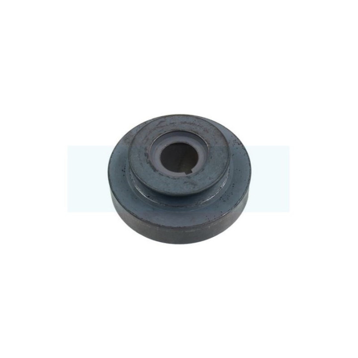 Poulie pour tondeuse Honda (75160VE0800)