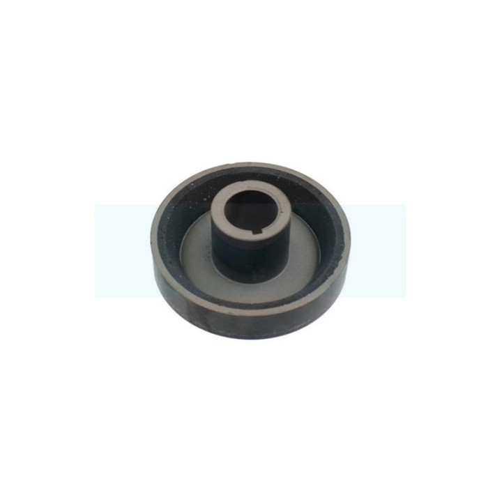 Poulie pour tondeuse Honda (75160VE0800)