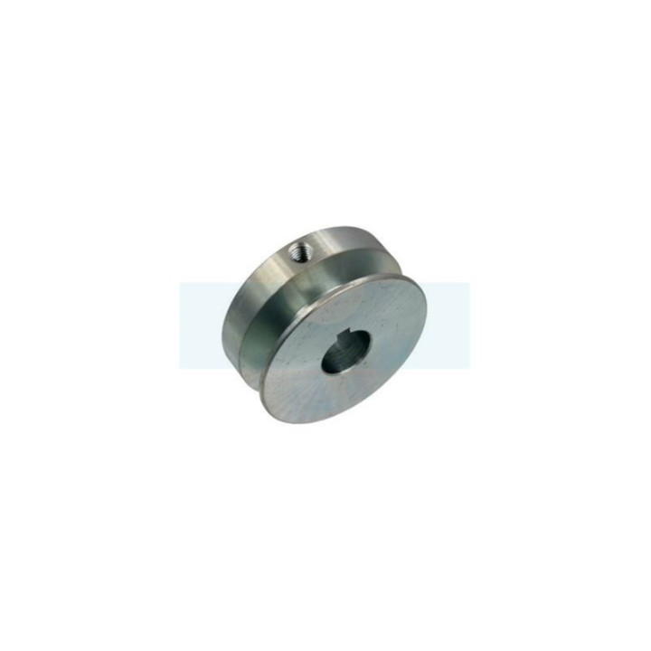 Poulie pour motobineuse Sarp (0306060021)