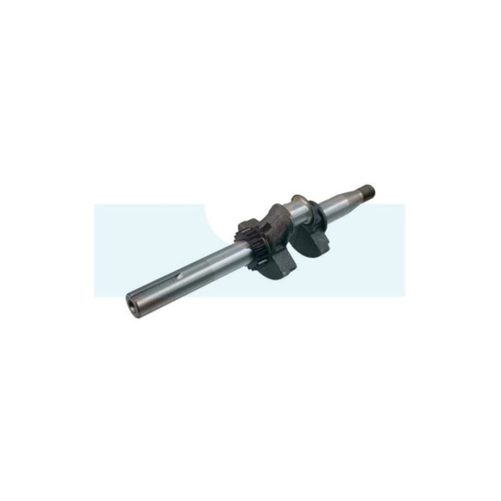 Vilebrequin pour moteur Briggs & Stratton (590538)