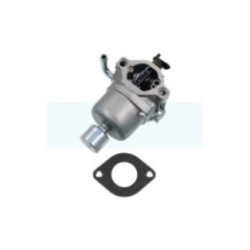 Carburateur pour moteur Briggs & Stratton (590400)