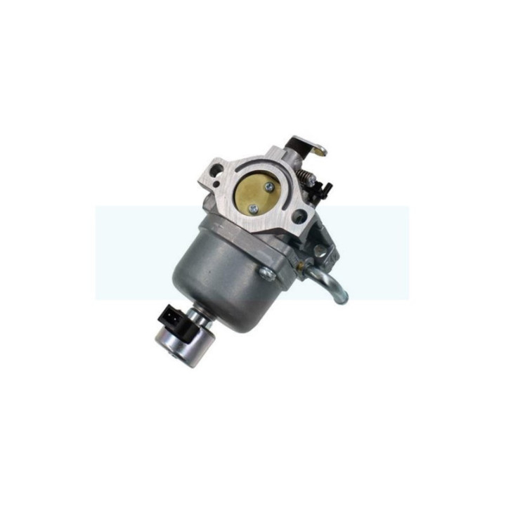 Carburateur pour moteur Briggs & Stratton (590400)