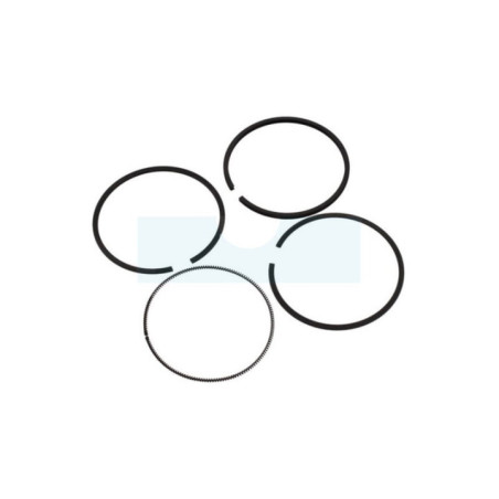 Kit segment pour moteur Tecumseh (40036)