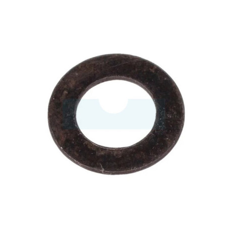 Rondelle pour taille-haie Castelgarden / GGP (123657013/0)