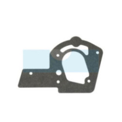 Joint de réservoir pour moteur Briggs & Stratton (272489)