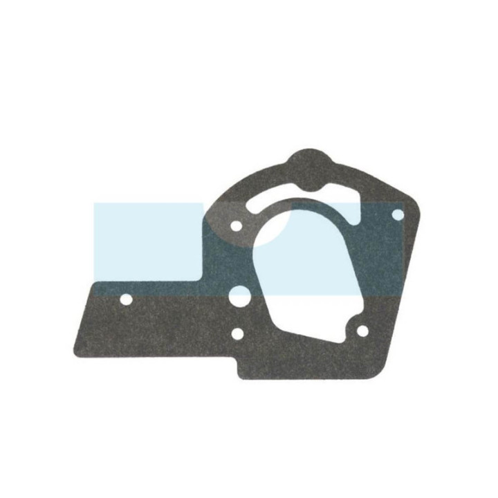 Joint de réservoir pour moteur Briggs & Stratton (272489)