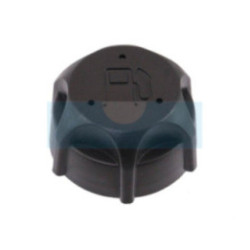 Bouchon d'essence pour moteur Briggs & Stratton (497929)