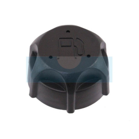 Bouchon d'essence pour moteur Briggs & Stratton (497929)