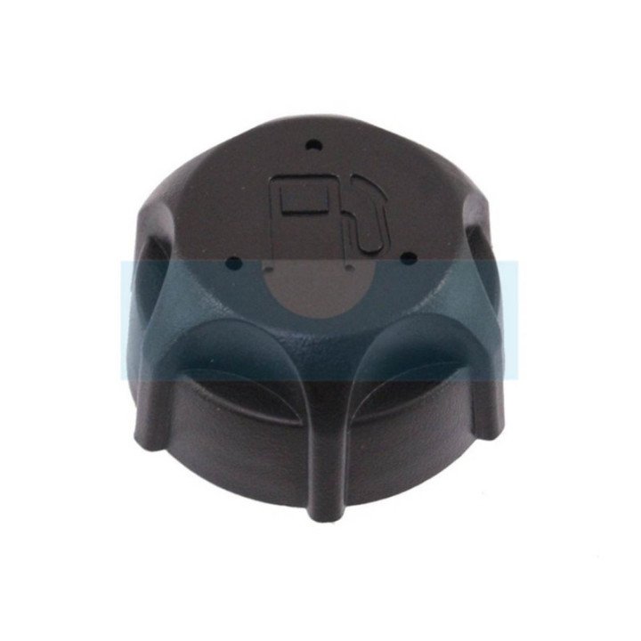 Bouchon d'essence pour moteur Briggs & Stratton (497929)