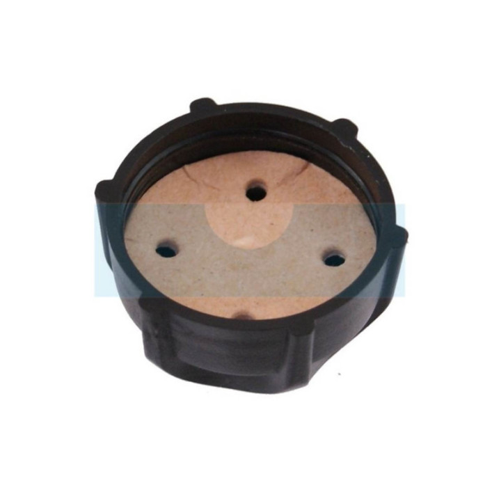 Bouchon d'essence pour moteur Briggs & Stratton (497929)