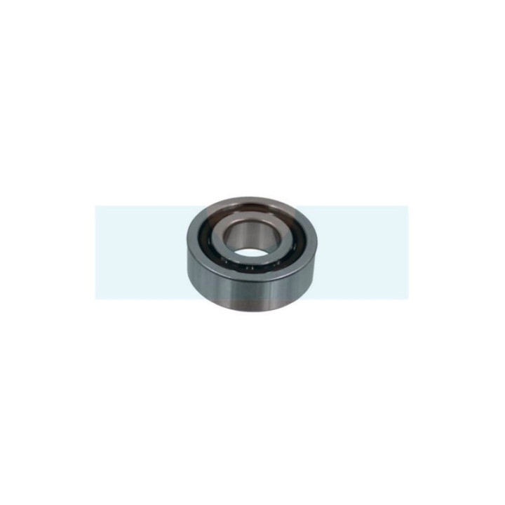 Roulement de vilebrequin pour tronçonneuse Husqvarna (503251302)