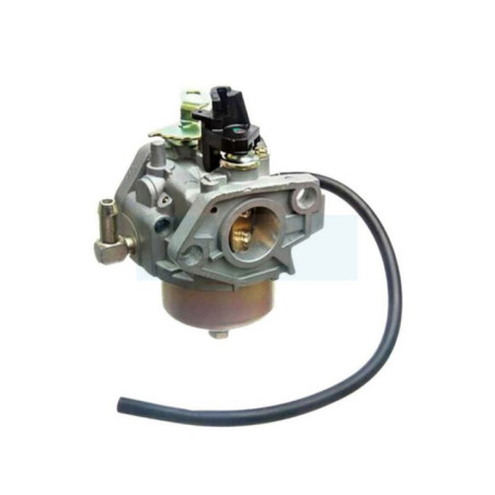 Carburateur pour Mtd (951-14023A)