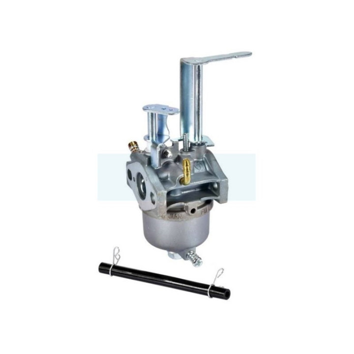 Carburateur pour Toro (119-1980)
