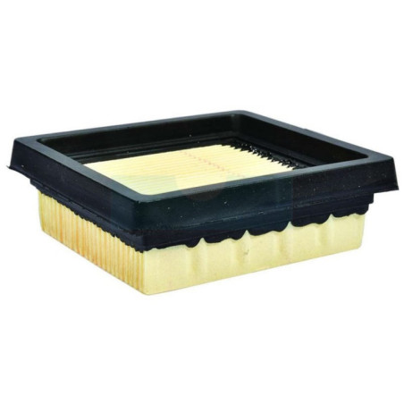 Filtre à air pour Ryobi (900777005)