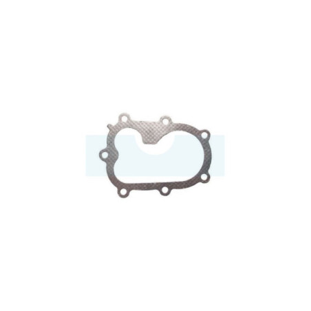 Joint de culasse pour moteur Briggs & Stratton (290814)