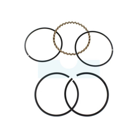 Kit segment pour moteur Briggs & Stratton (391783)