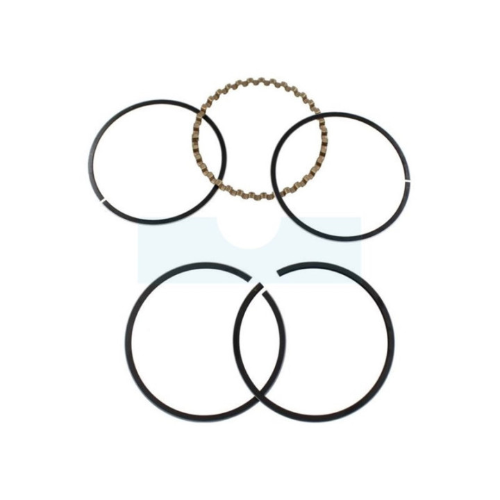 Kit segment pour moteur Briggs & Stratton (391783)