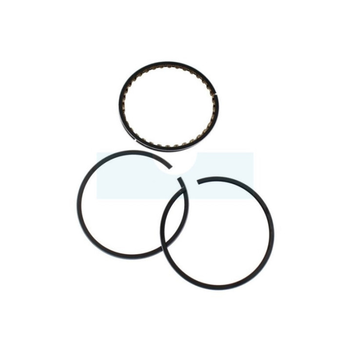Kit segment pour moteur Briggs & Stratton (391783)