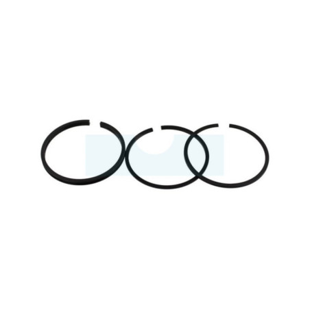 Kit segment pour moteur Briggs & Stratton (298983)
