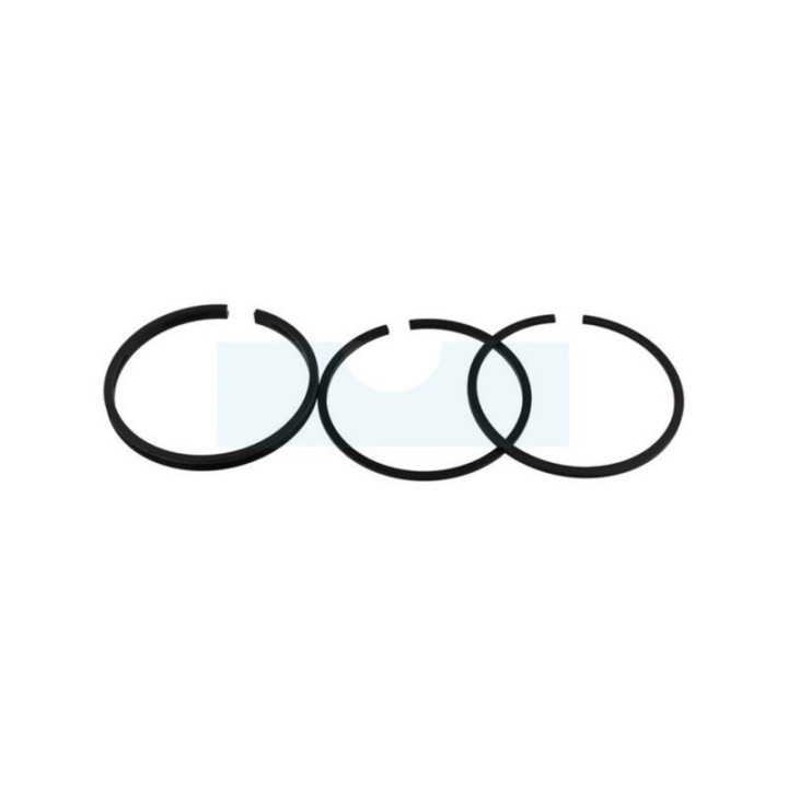 Kit segment pour moteur Briggs & Stratton (298983)