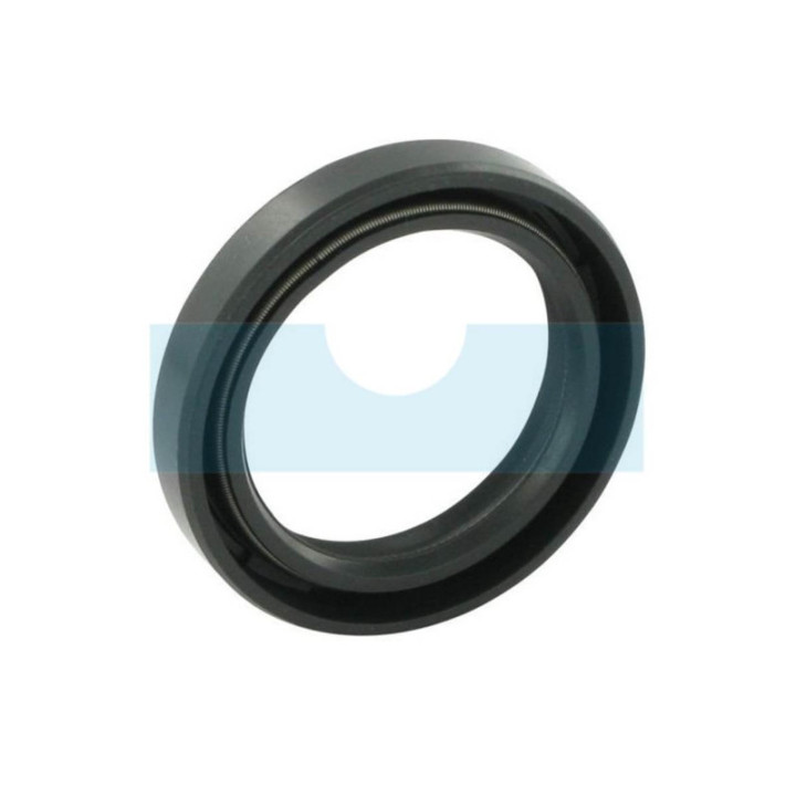 Joint spi pour moteur Briggs & Stratton (805049S)