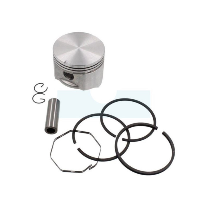 Kit piston segments pour moteur Briggs & Stratton (391289)